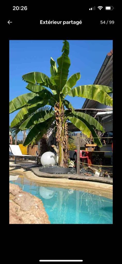 A La Marc'Quize Chambres D'Hotes, Petit Dejeuner Compris, Avec Piscine A Debordement En Exterieur, Bain Nordique A 38 Degres En Prestation Supplement Sur Reservation Horaire Anticipee 1 Place De Parking Gratuite Sur Place Mouxy Zewnętrze zdjęcie